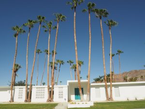 Palm Springs homes