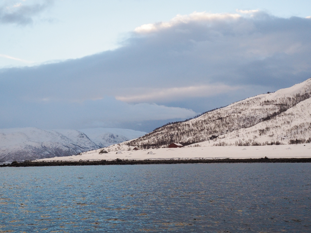 Tromso sarki fény