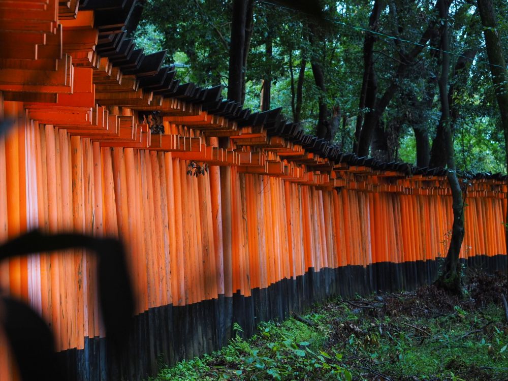 Kiotó látnivalók Fushimi Inari