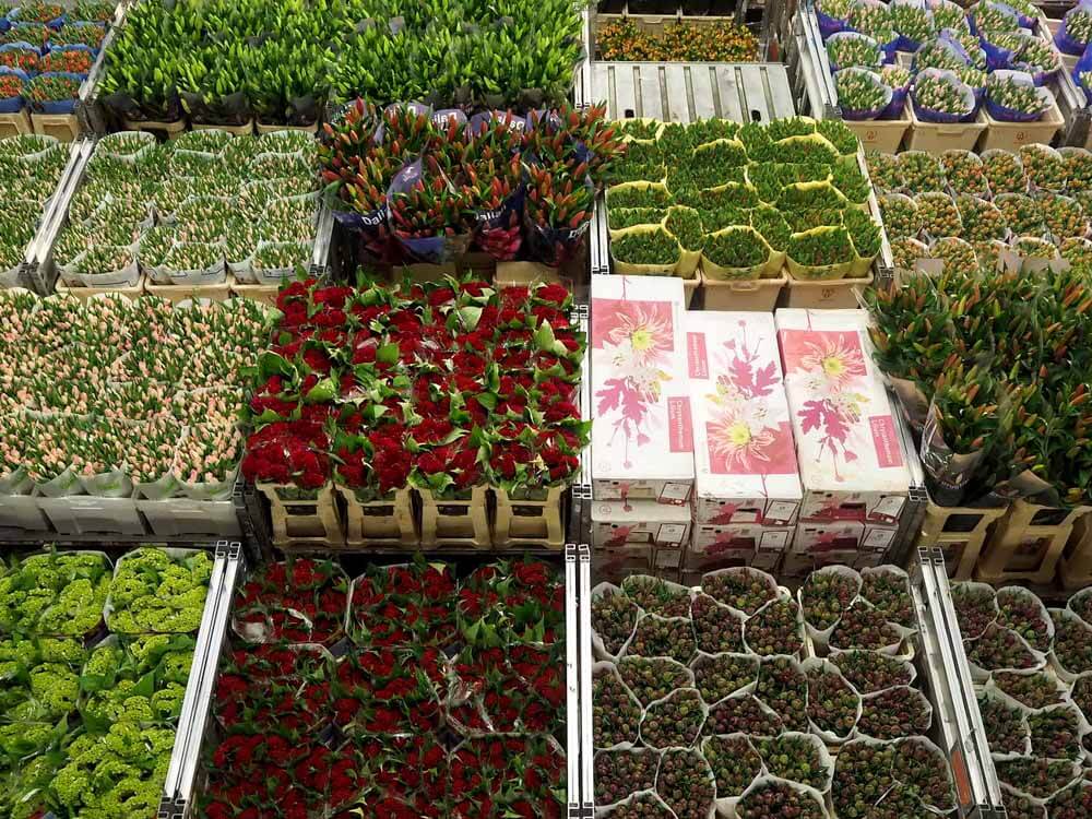 Amszterdam virágpiac