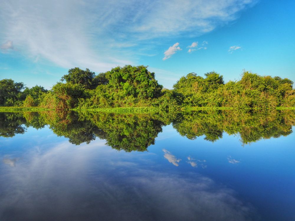 Pantanal mocsárvidék