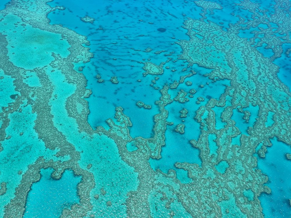Ausztrál korallzátony