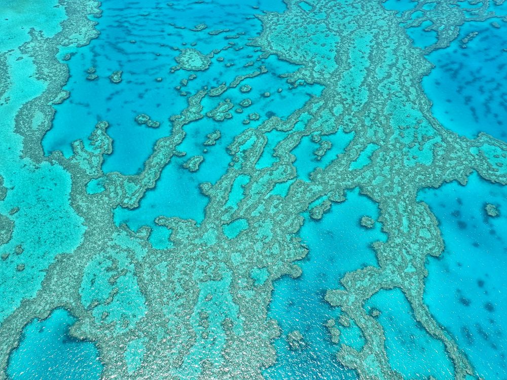 Ausztrál korallzátony
