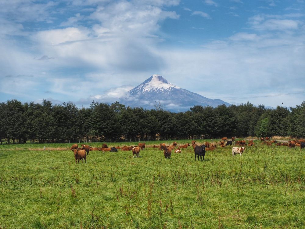 Osorno-vulkán